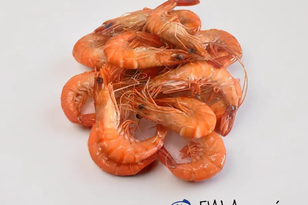 Gambas bio de Madagascar OSO