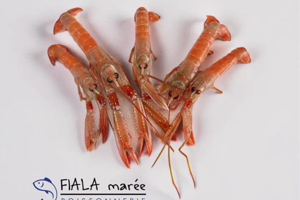 Langoustines de pays cuites maison 