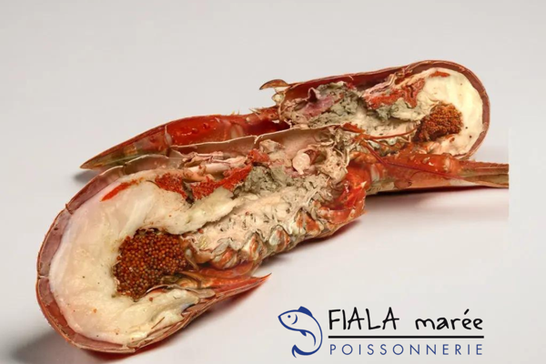 Homard breton cuit maison