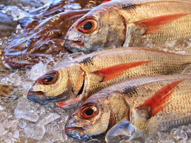  Les coulisses de notre poissonnerie Fiala Marée – Découvrez notre journée type !