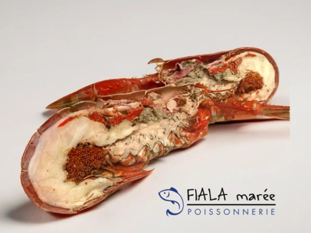 Homard breton cuit maison