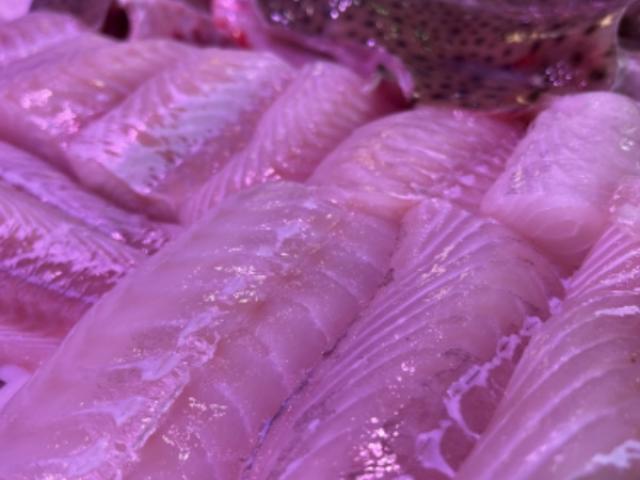 Comment faire manger du poisson aux enfants ? La réponse dans l'article qui suit !
