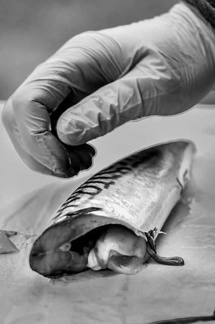 Assortiment de poissons et de fruits de mer